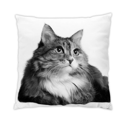 Coussin Chat 3