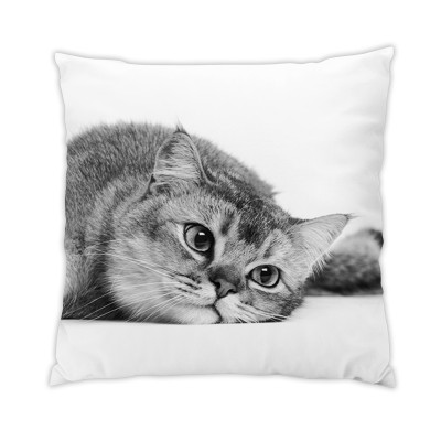 Coussin Chat 4